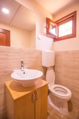 Green House Hostel Belgrade Luaran gambar