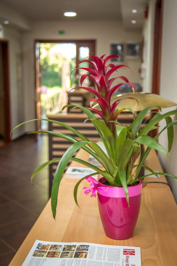 Green House Hostel Belgrade Luaran gambar